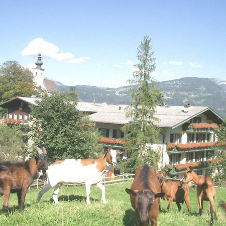 Готель Torrenerhof Голлінг-ан-дер-Зальцах Екстер'єр фото