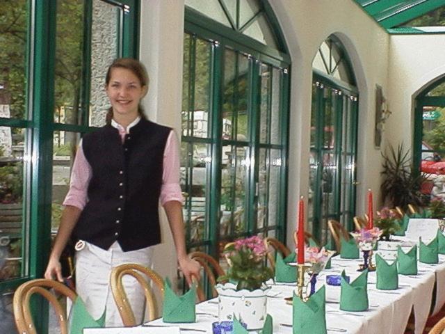 Готель Torrenerhof Голлінг-ан-дер-Зальцах Екстер'єр фото